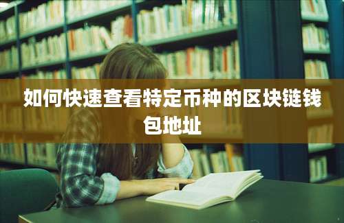 如何快速查看特定币种的区块链钱包地址