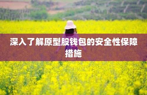 深入了解原型股钱包的安全性保障措施