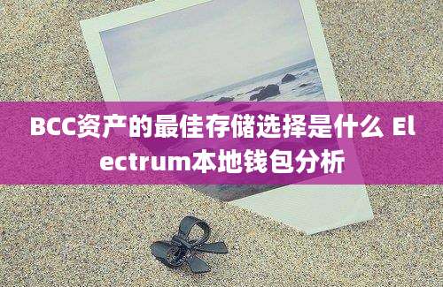 BCC资产的最佳存储选择是什么 Electrum本地钱包分析