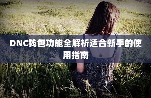 DNC钱包功能全解析适合新手的使用指南