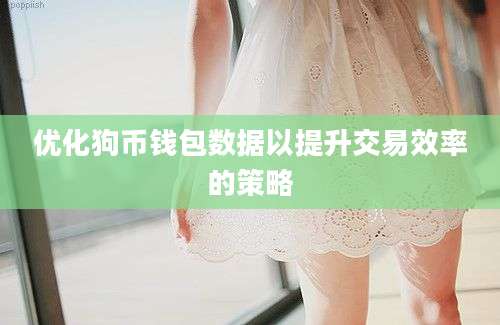 优化狗币钱包数据以提升交易效率的策略