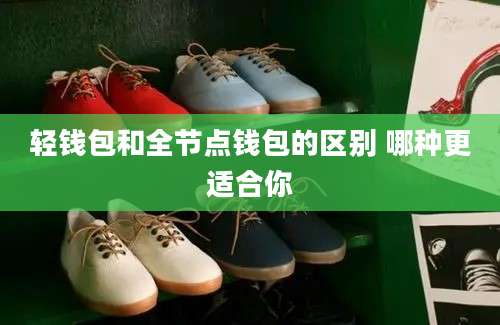轻钱包和全节点钱包的区别 哪种更适合你