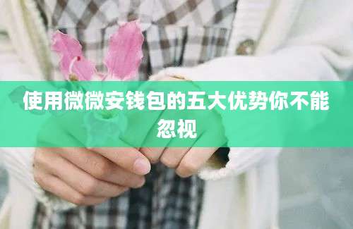使用微微安钱包的五大优势你不能忽视