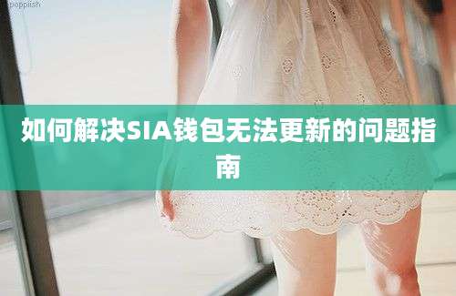 如何解决SIA钱包无法更新的问题指南