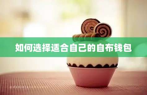 如何选择适合自己的自布钱包