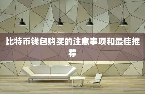 比特币钱包购买的注意事项和最佳推荐