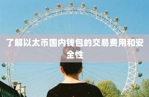 了解以太币国内钱包的交易费用和安全性