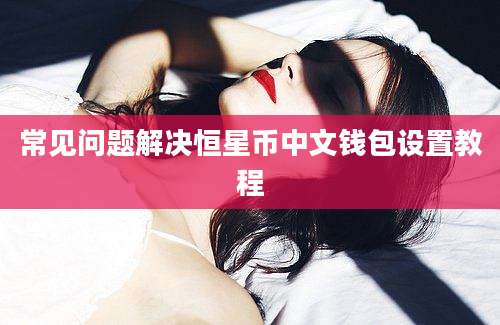 常见问题解决恒星币中文钱包设置教程