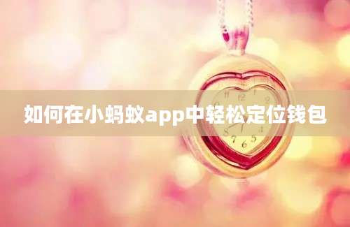 如何在小蚂蚁app中轻松定位钱包