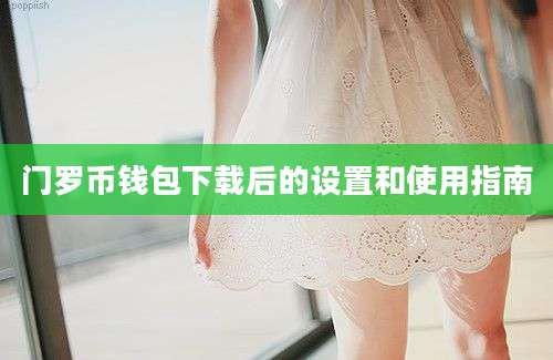 门罗币钱包下载后的设置和使用指南