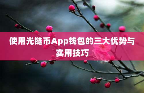 使用光链币App钱包的三大优势与实用技巧