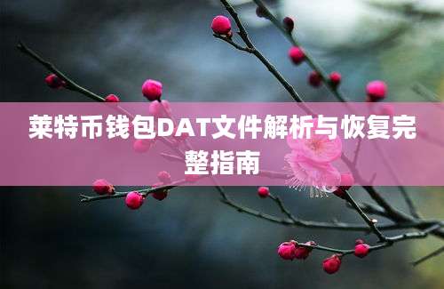 莱特币钱包DAT文件解析与恢复完整指南