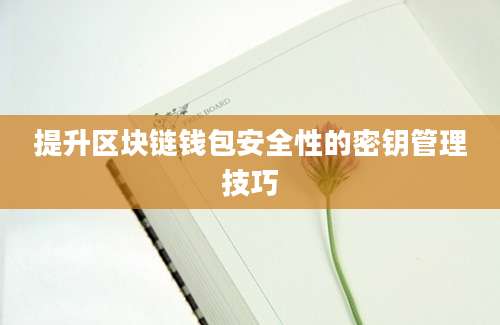 提升区块链钱包安全性的密钥管理技巧
