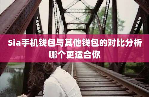 Sia手机钱包与其他钱包的对比分析哪个更适合你