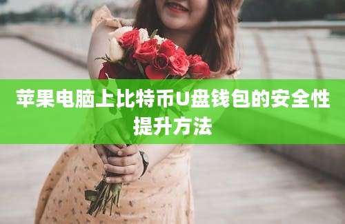 苹果电脑上比特币U盘钱包的安全性提升方法