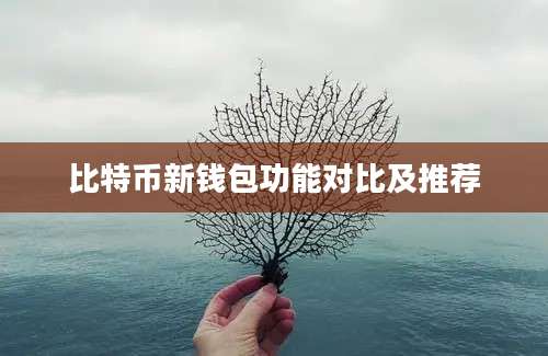比特币新钱包功能对比及推荐
