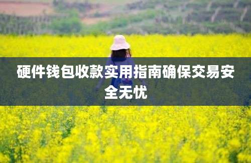 硬件钱包收款实用指南确保交易安全无忧