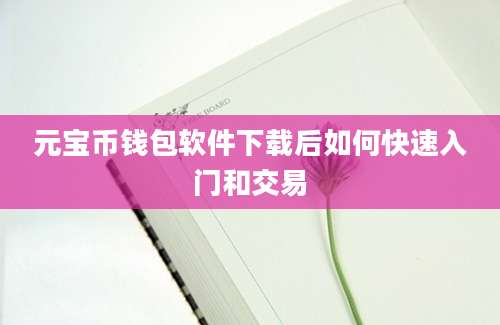 元宝币钱包软件下载后如何快速入门和交易