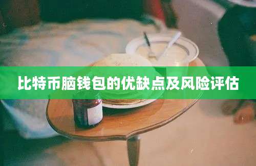 比特币脑钱包的优缺点及风险评估