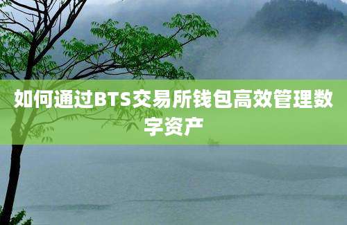 如何通过BTS交易所钱包高效管理数字资产