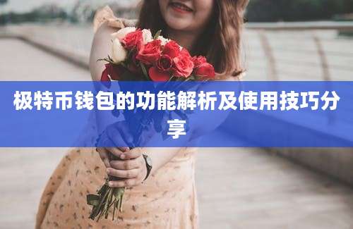 极特币钱包的功能解析及使用技巧分享