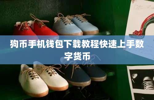 狗币手机钱包下载教程快速上手数字货币