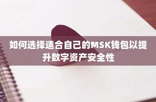 如何选择适合自己的MSK钱包以提升数字资产安全性
