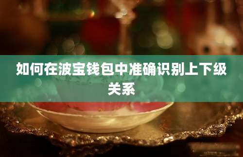 如何在波宝钱包中准确识别上下级关系
