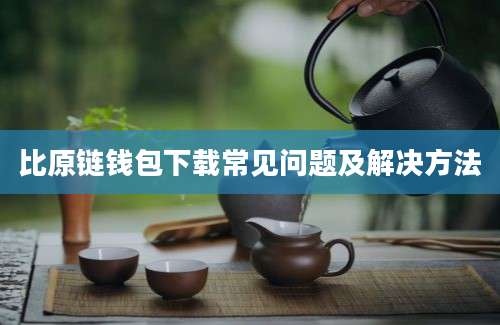 比原链钱包下载常见问题及解决方法
