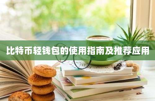 比特币轻钱包的使用指南及推荐应用