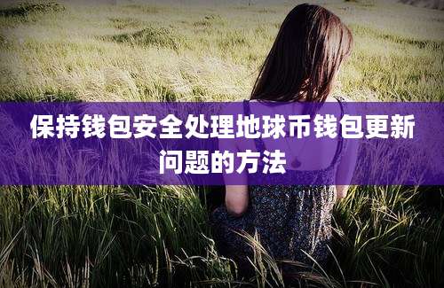 保持钱包安全处理地球币钱包更新问题的方法