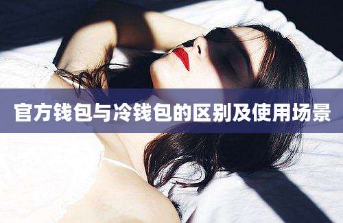 官方钱包与冷钱包的区别及使用场景