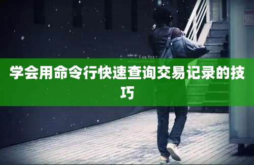 学会用命令行快速查询交易记录的技巧