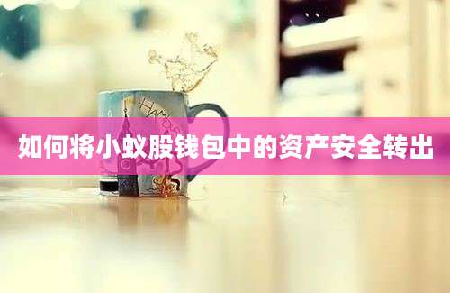 如何将小蚁股钱包中的资产安全转出