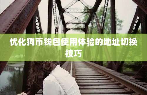 优化狗币钱包使用体验的地址切换技巧