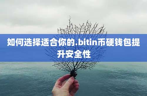 如何选择适合你的.bitin币硬钱包提升安全性