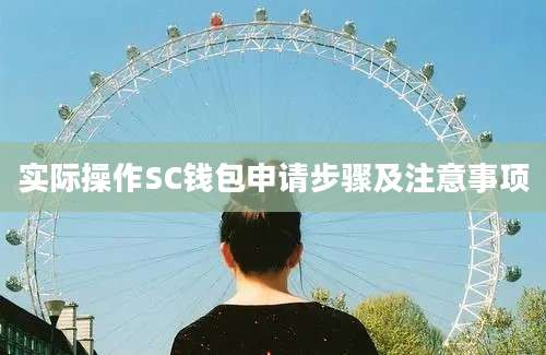 实际操作SC钱包申请步骤及注意事项