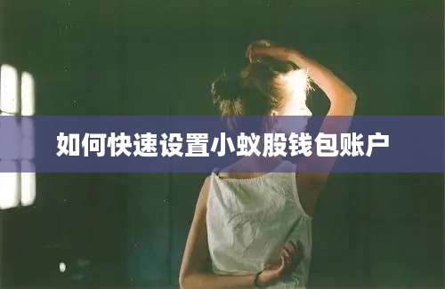 如何快速设置小蚁股钱包账户