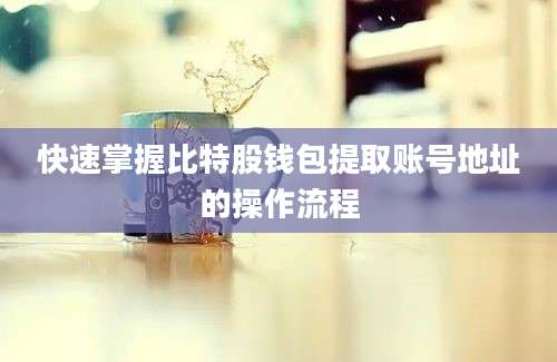 快速掌握比特股钱包提取账号地址的操作流程