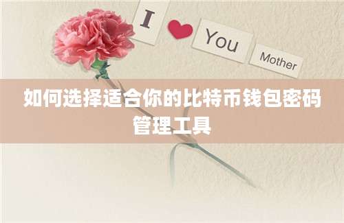 如何选择适合你的比特币钱包密码管理工具