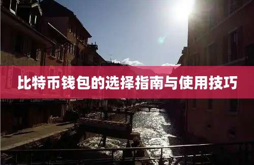 比特币钱包的选择指南与使用技巧