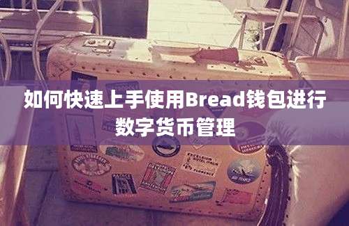 如何快速上手使用Bread钱包进行数字货币管理