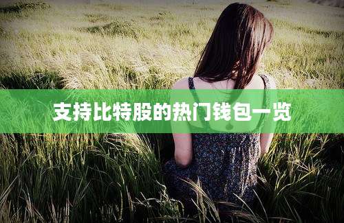 支持比特股的热门钱包一览