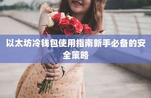 以太坊冷钱包使用指南新手必备的安全策略
