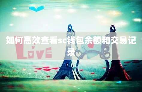 如何高效查看sc钱包余额和交易记录