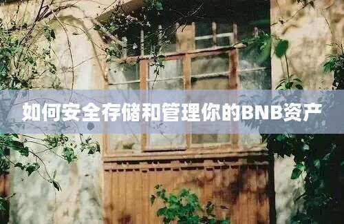 如何安全存储和管理你的BNB资产