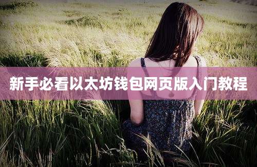 新手必看以太坊钱包网页版入门教程