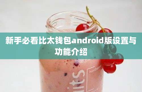 新手必看比太钱包android版设置与功能介绍