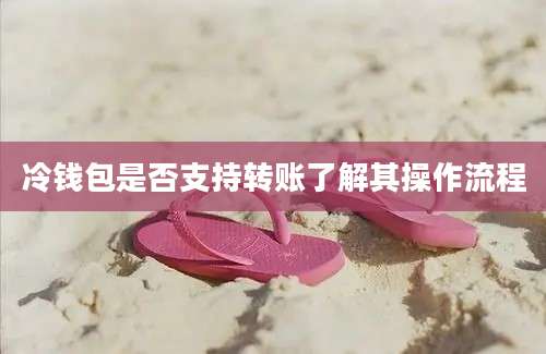 冷钱包是否支持转账了解其操作流程