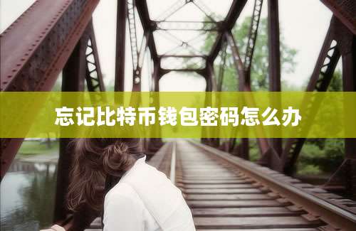 忘记比特币钱包密码怎么办